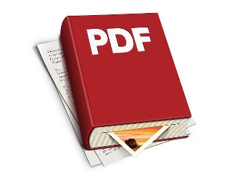 PDF